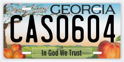 GA license plate CAS0604