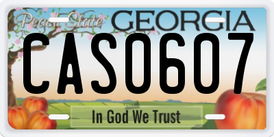GA license plate CAS0607