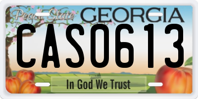 GA license plate CAS0613