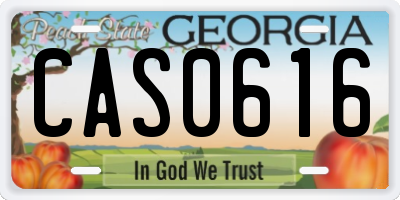 GA license plate CAS0616