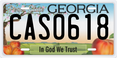 GA license plate CAS0618