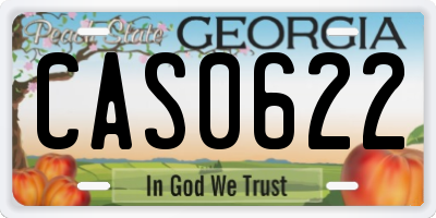 GA license plate CAS0622