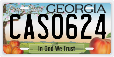 GA license plate CAS0624