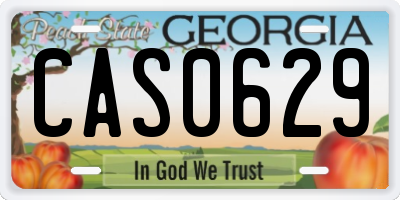 GA license plate CAS0629
