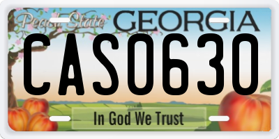 GA license plate CAS0630