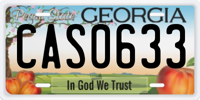 GA license plate CAS0633