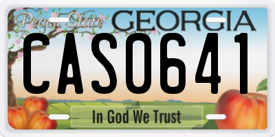 GA license plate CAS0641