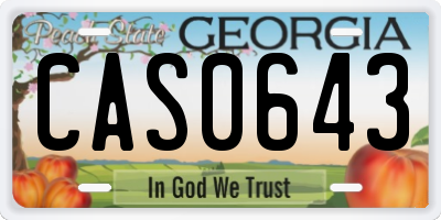 GA license plate CAS0643