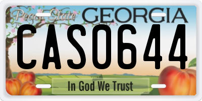 GA license plate CAS0644
