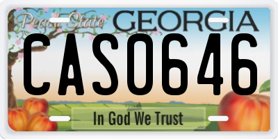 GA license plate CAS0646