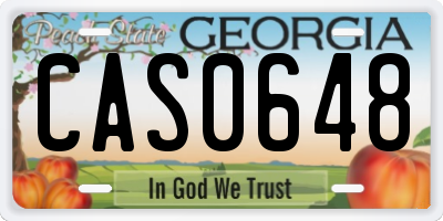 GA license plate CAS0648