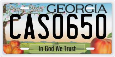 GA license plate CAS0650