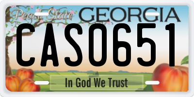 GA license plate CAS0651