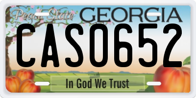 GA license plate CAS0652