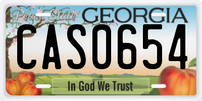 GA license plate CAS0654