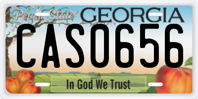 GA license plate CAS0656
