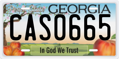 GA license plate CAS0665