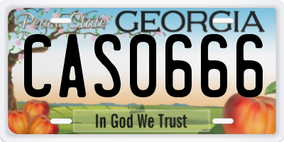GA license plate CAS0666