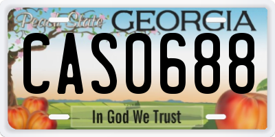 GA license plate CAS0688