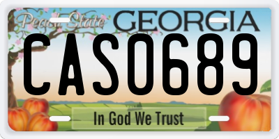 GA license plate CAS0689