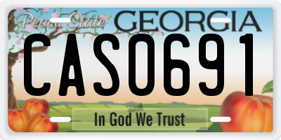 GA license plate CAS0691