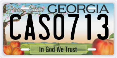 GA license plate CAS0713