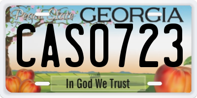 GA license plate CAS0723