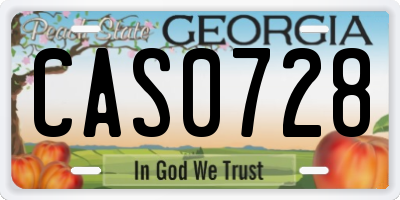 GA license plate CAS0728