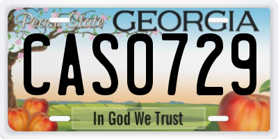 GA license plate CAS0729