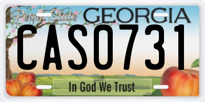 GA license plate CAS0731