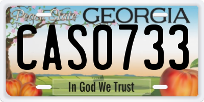 GA license plate CAS0733