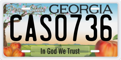 GA license plate CAS0736