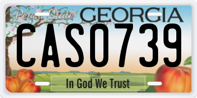 GA license plate CAS0739