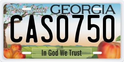 GA license plate CAS0750