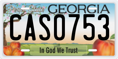 GA license plate CAS0753