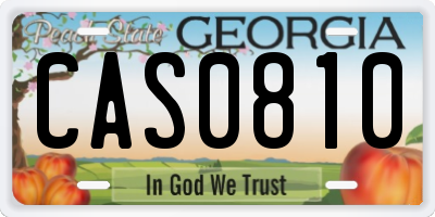 GA license plate CAS0810