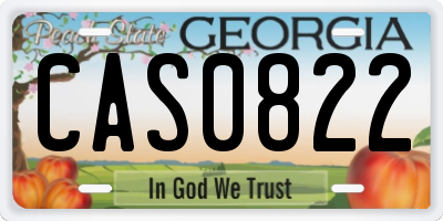 GA license plate CAS0822