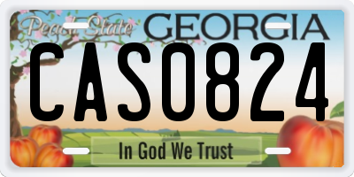 GA license plate CAS0824