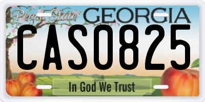 GA license plate CAS0825