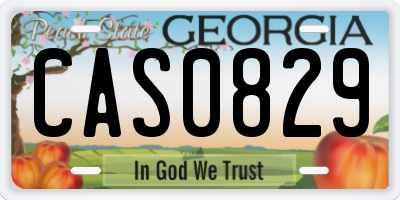 GA license plate CAS0829