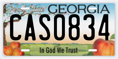 GA license plate CAS0834