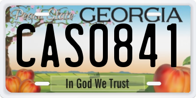 GA license plate CAS0841