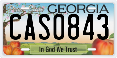 GA license plate CAS0843