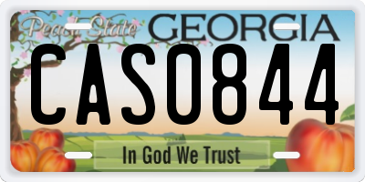 GA license plate CAS0844