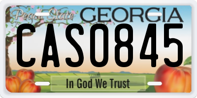 GA license plate CAS0845