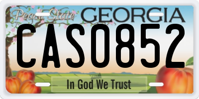 GA license plate CAS0852