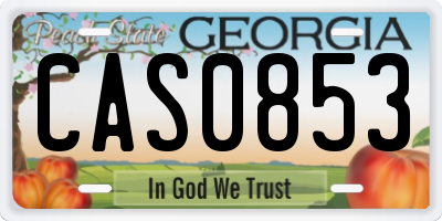 GA license plate CAS0853