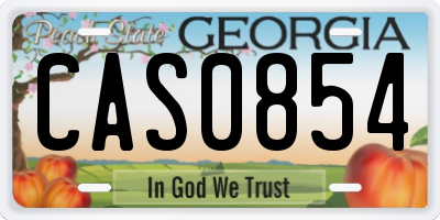 GA license plate CAS0854