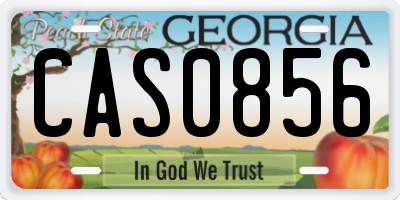 GA license plate CAS0856