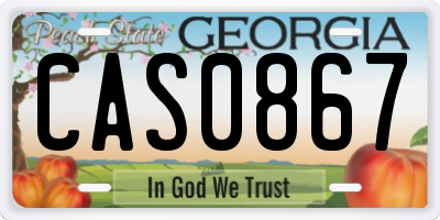 GA license plate CAS0867